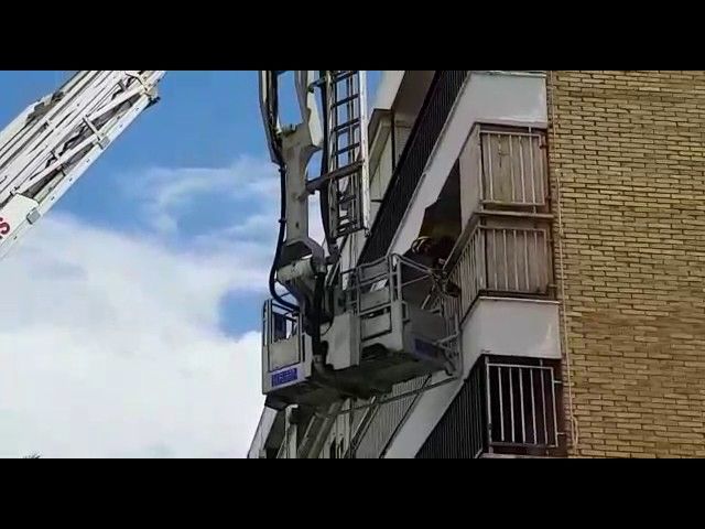 Rescatan a un cachorro abandonado en un piso