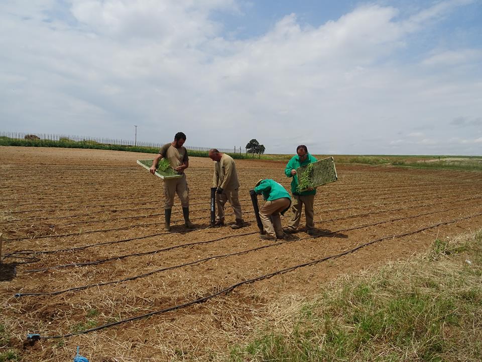 Bioalverde, un proyecto solidario en fase de crecimiento y consolidación
