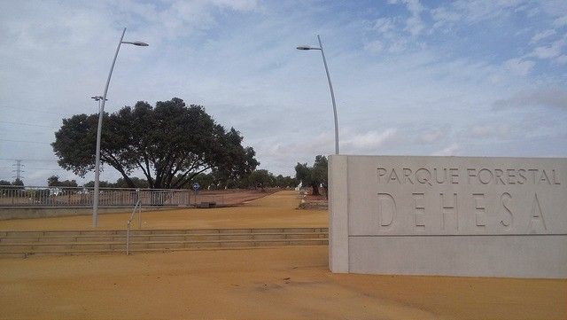 A licitación la plataforma del bus ecológico de Entrenúcleos