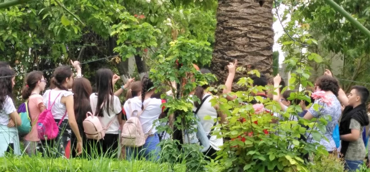 Taller de huertos ecológicos para los escolares de 3º de Primaria