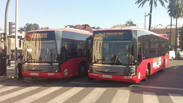 El concurso de transporte público ya tiene empresa adjudicataria