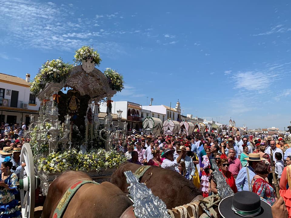 Los romeros regresan a la ciudad tras la Romería del Rocío