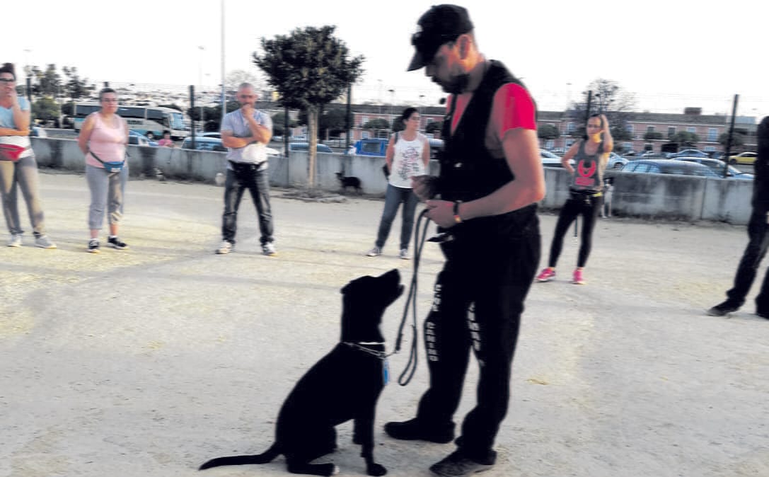 Una nueva promoción de adiestradores caninos se gradúa