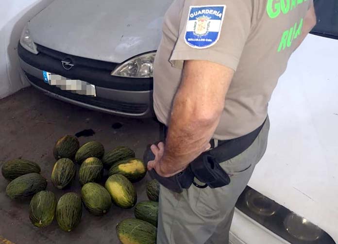 Dos vecinos de Dos Hermanas implicados en el robo de melones y uvas