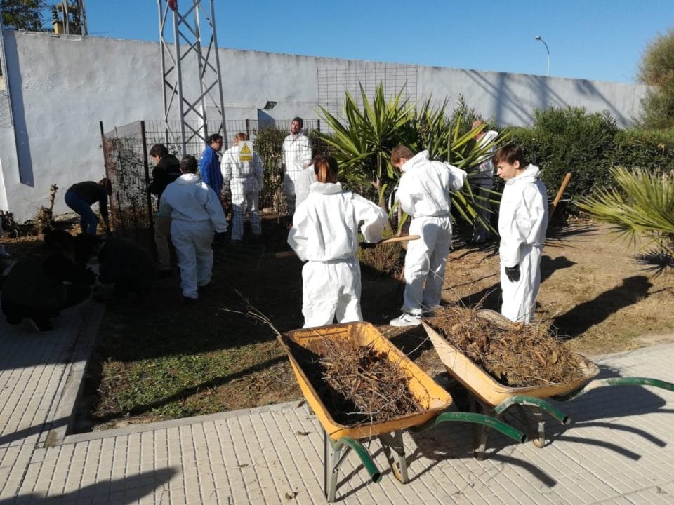 Jornada de voluntariado para mejorar las instalaciones de ASAS