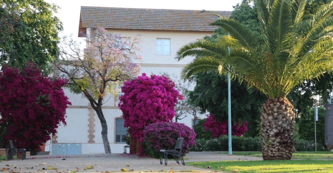 Primer Plan Medioambiental de Antaris para mejorar su sostenibilidad