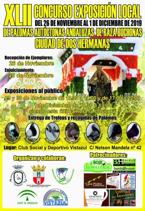 Concurso de palomas buchonas en el Club Vistazul esta semana