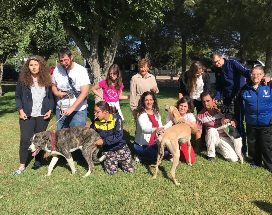 Perros y personas que se ayudan mutuamente en ASAS