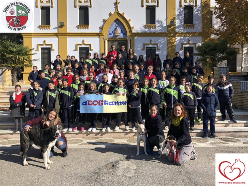 Proyecto aDOGtame busca familia a tres perros en San Hermenegildo