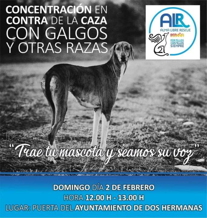 Concentración contra la caza con galgos y otras razas