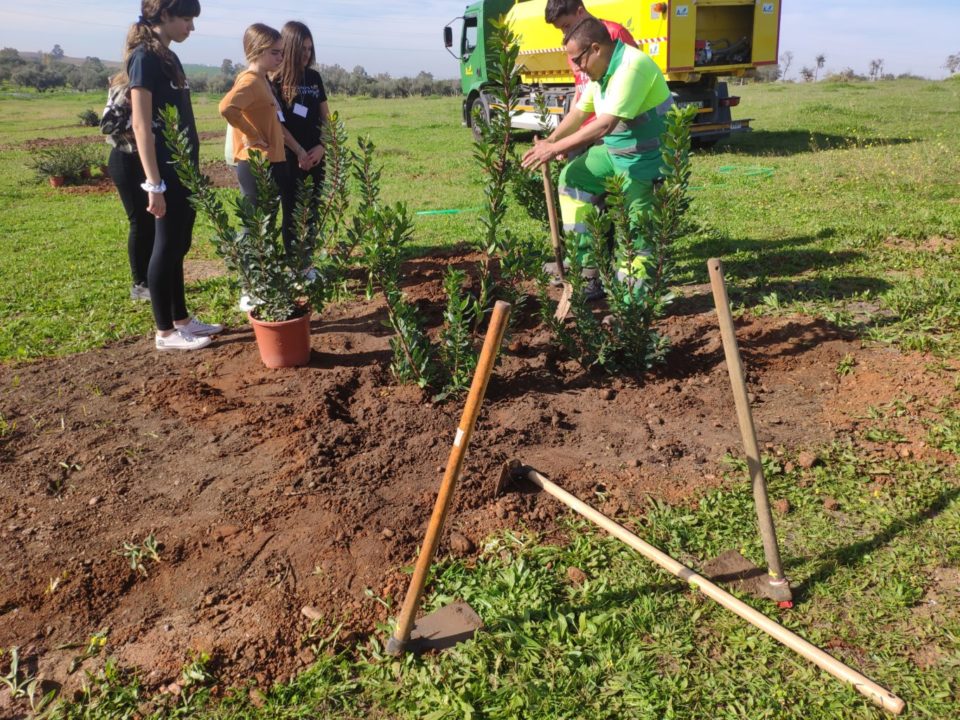 Mañana medioambiental en el parque forestal para alumnado de Secundaria