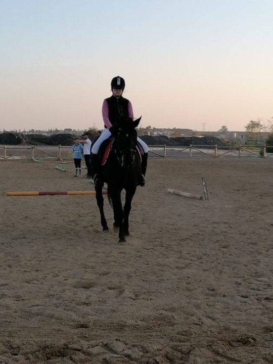 Formación en doma adaptada en el hipódromo nazareno