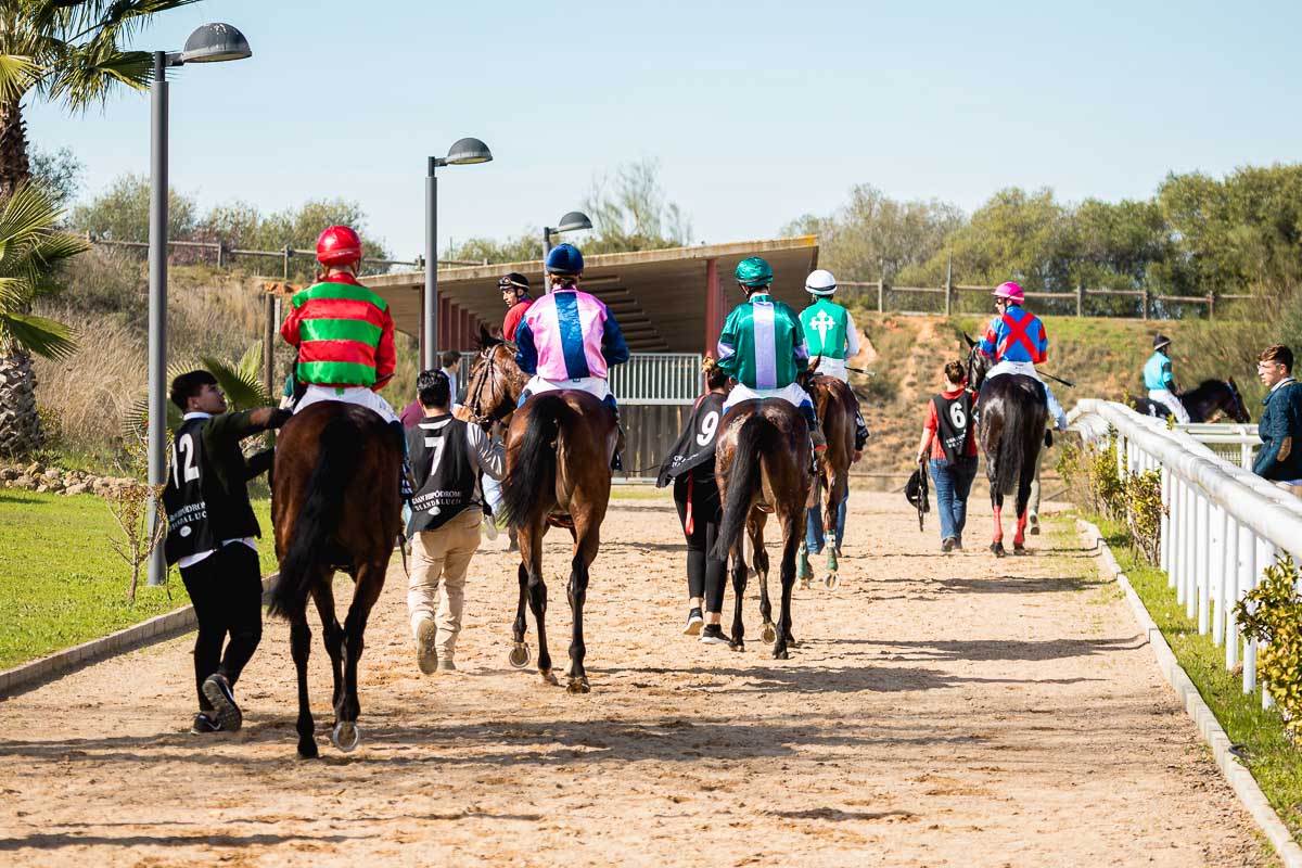 Se aplaza la temporada hípica de primavera en el hipódromo
