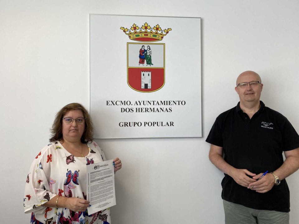 Plan Estratégico Económico para el comercio minorista a propuesta del PP