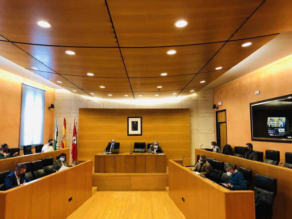 El pleno de marzo debatirá las siguientes mociones de los grupos políticos