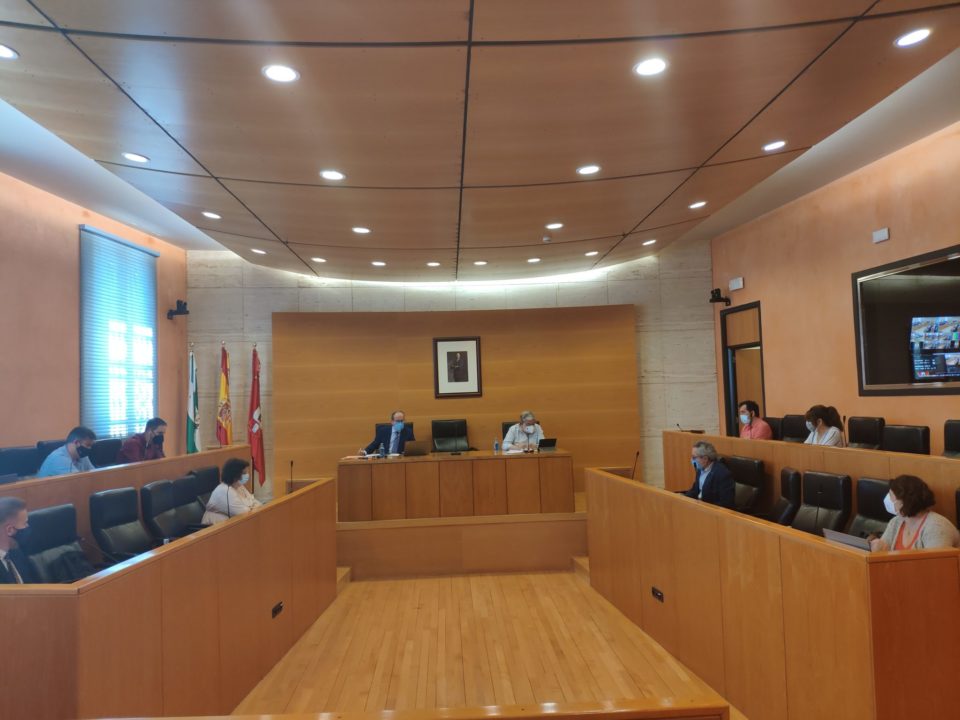 El Servicio de Ayuda a Domicilio no puede ser de gestión municipal