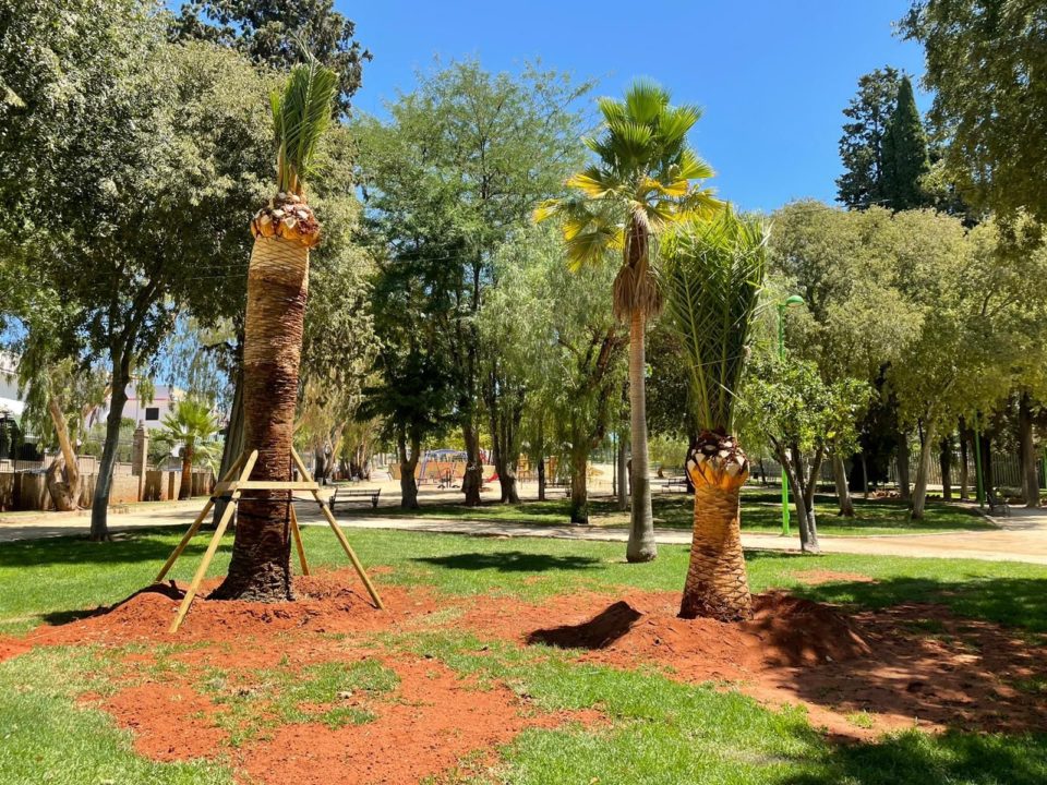 La calle Tajo verá ampliada su arboleda tras el fin de las obras