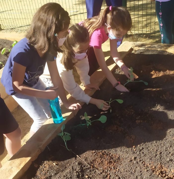 Primeras plantaciones en el huerto del colegio