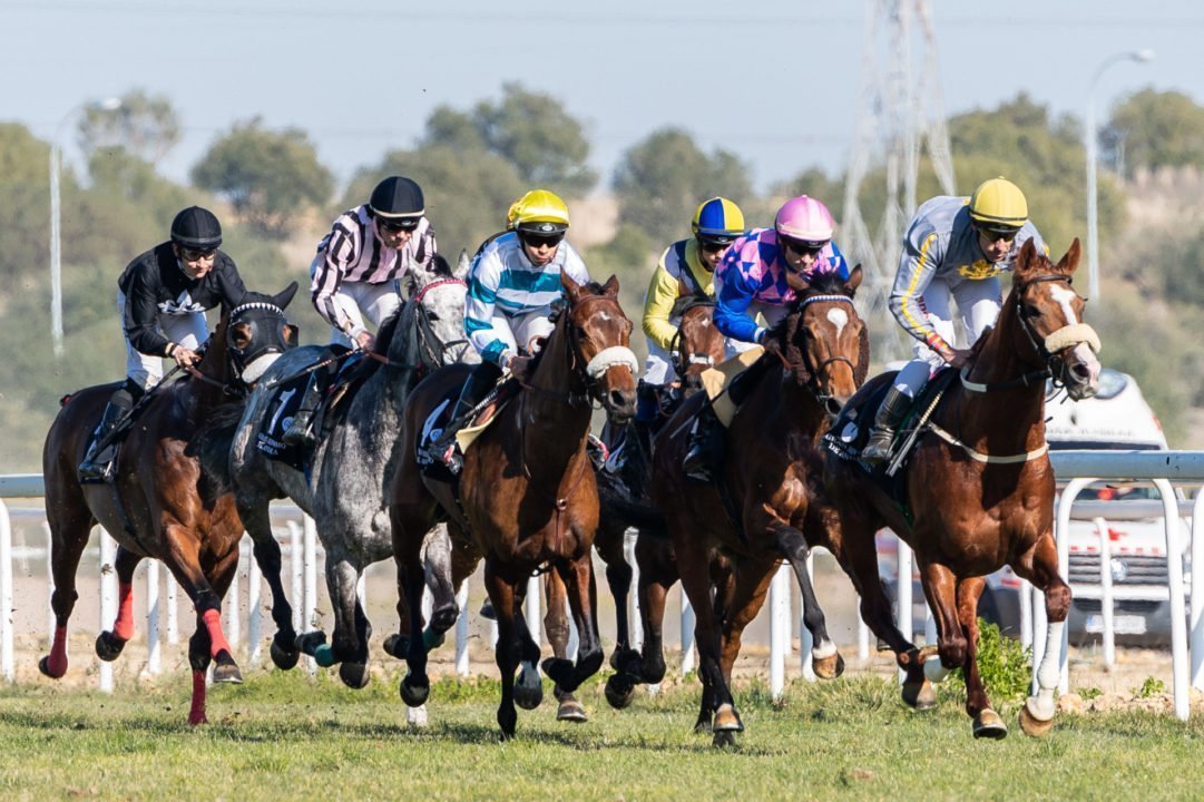 Tercera jornada de carreras de caballos en el hipódromo nazareno