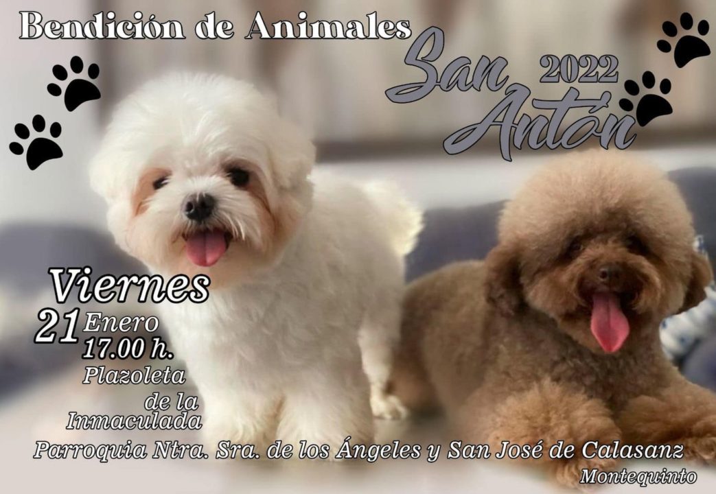 Bendición de animales en Montequinto por San Antón