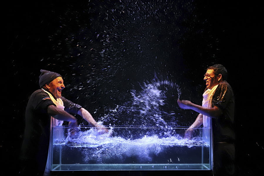 Espectáculo acuático para toda la familia en el teatro
