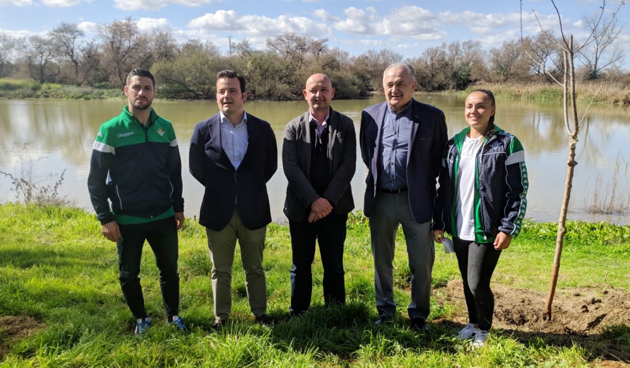 Plantación de árboles del Betis en la Laguna de Fuente del Rey