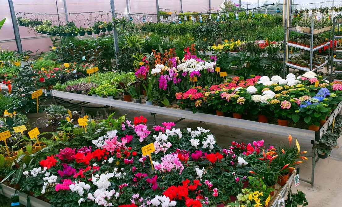 Vivero Garden Verdeflora se adelanta a la primavera