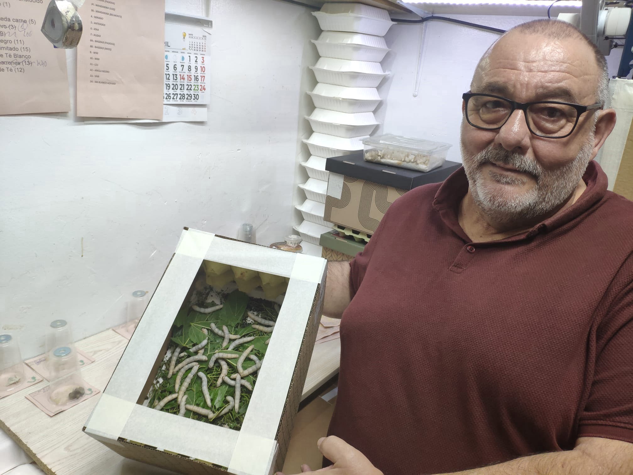 La cría de gusanos de seda tiene un referente en Dos Hermanas