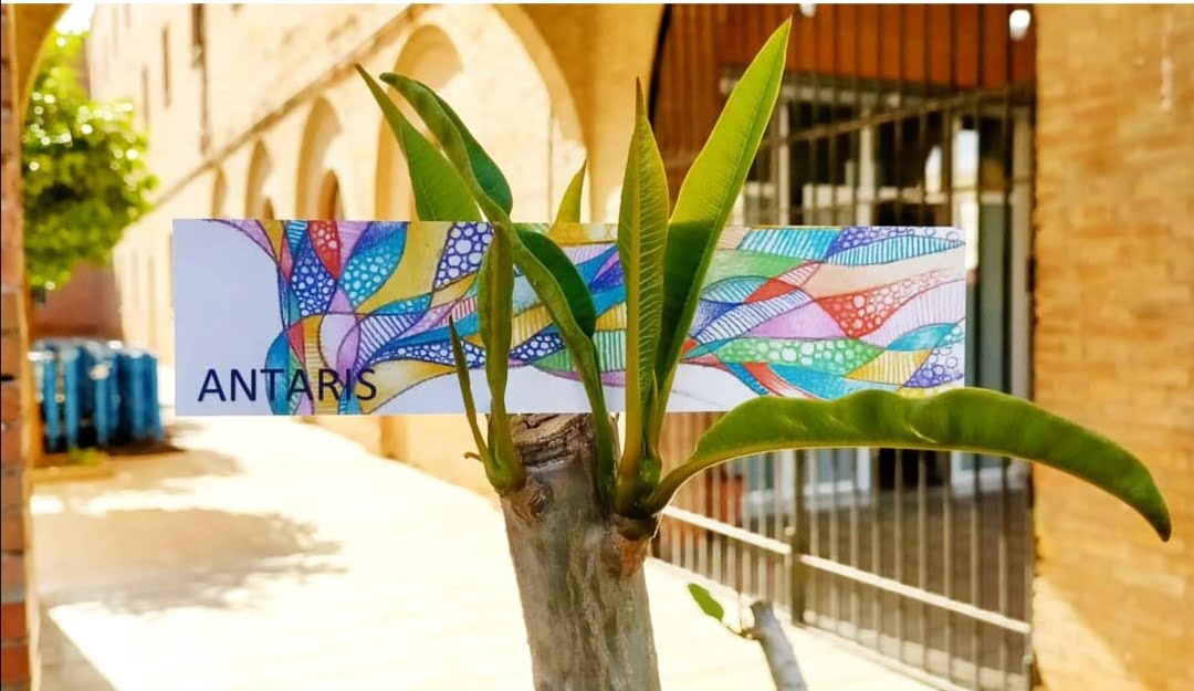 Más de 800 personas pasaron en 2021 por los centros de Antaris