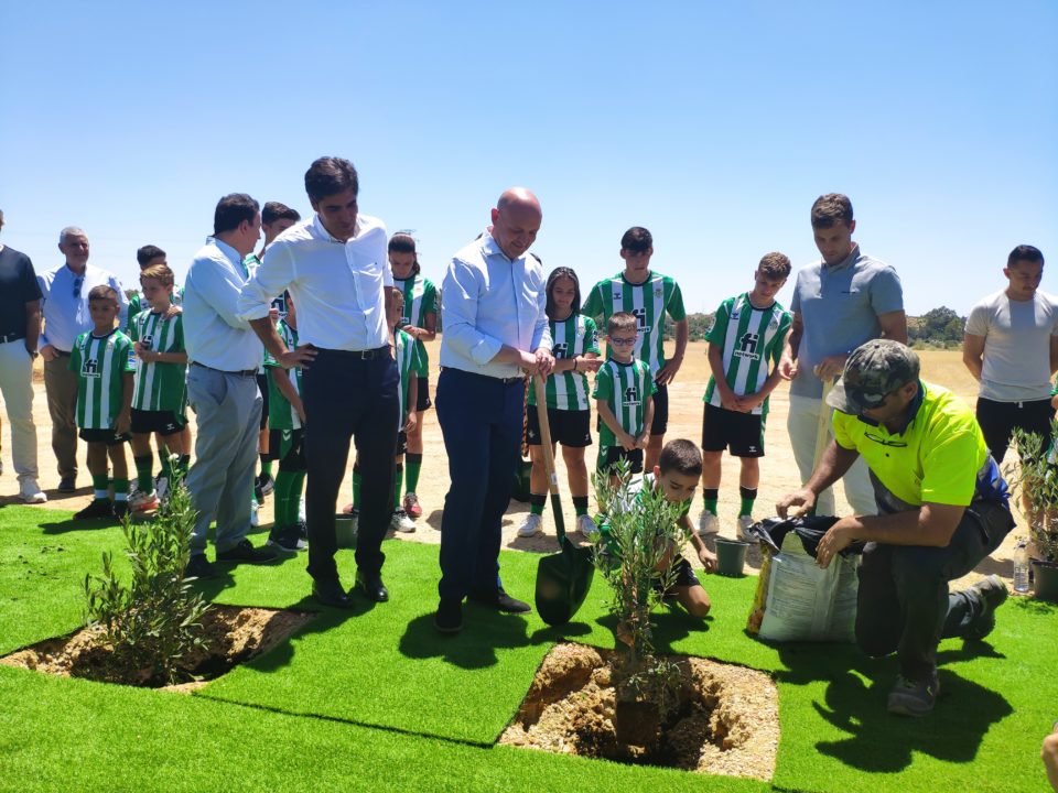 La nueva ciudad deportiva del Betis: de proyecto a una realidad