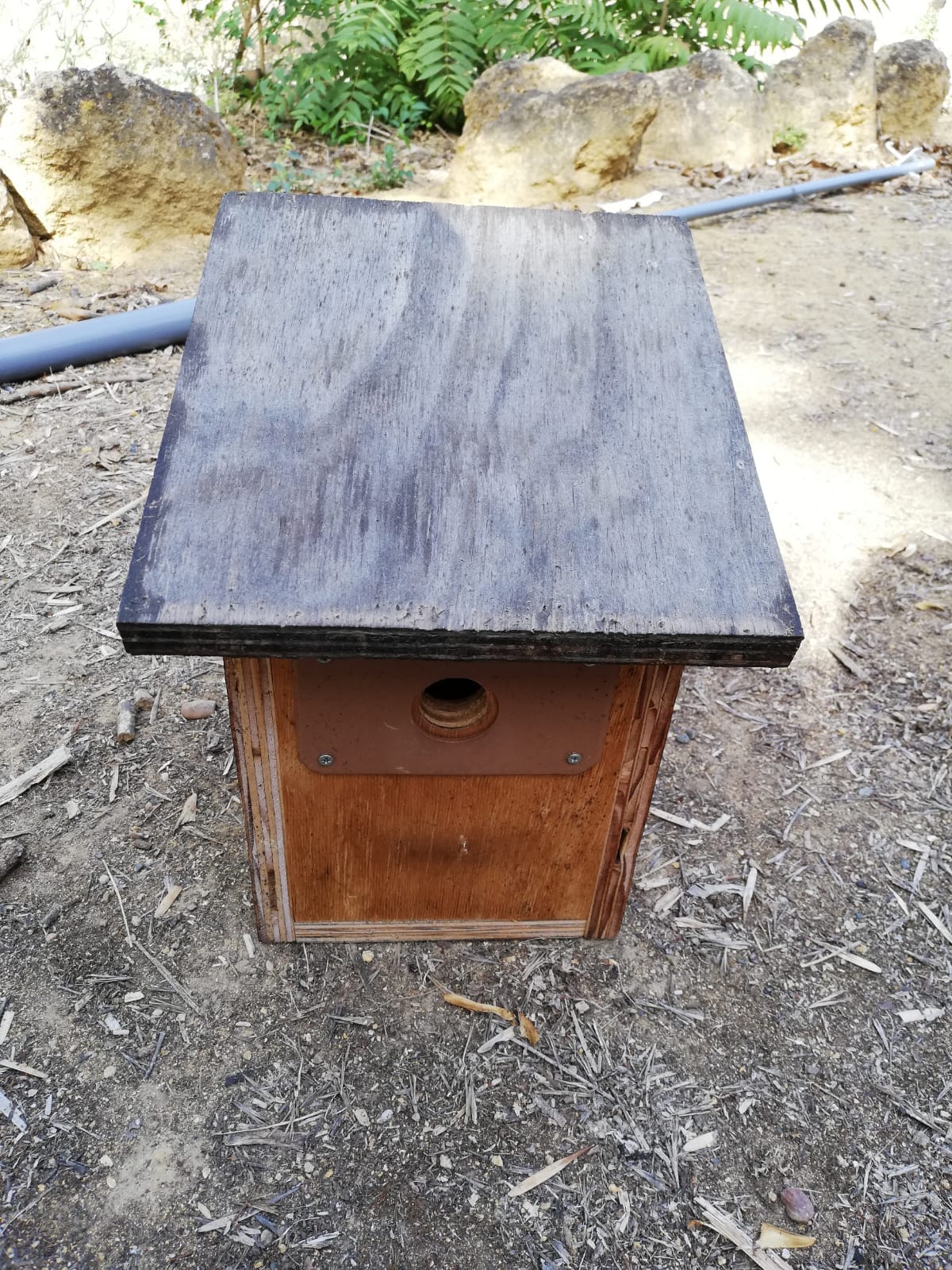 RASTREA instalará cajas nido para rapaces nocturnas en Dos Hermanas