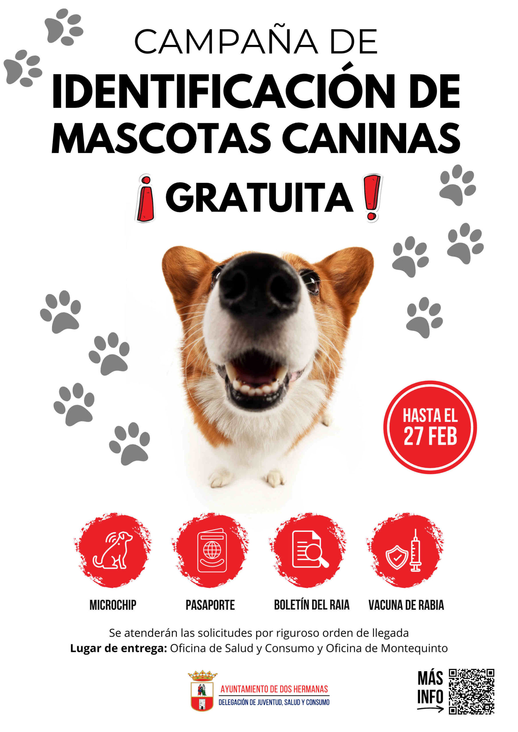 Campaña de identificación de mascotas de forma gratuita