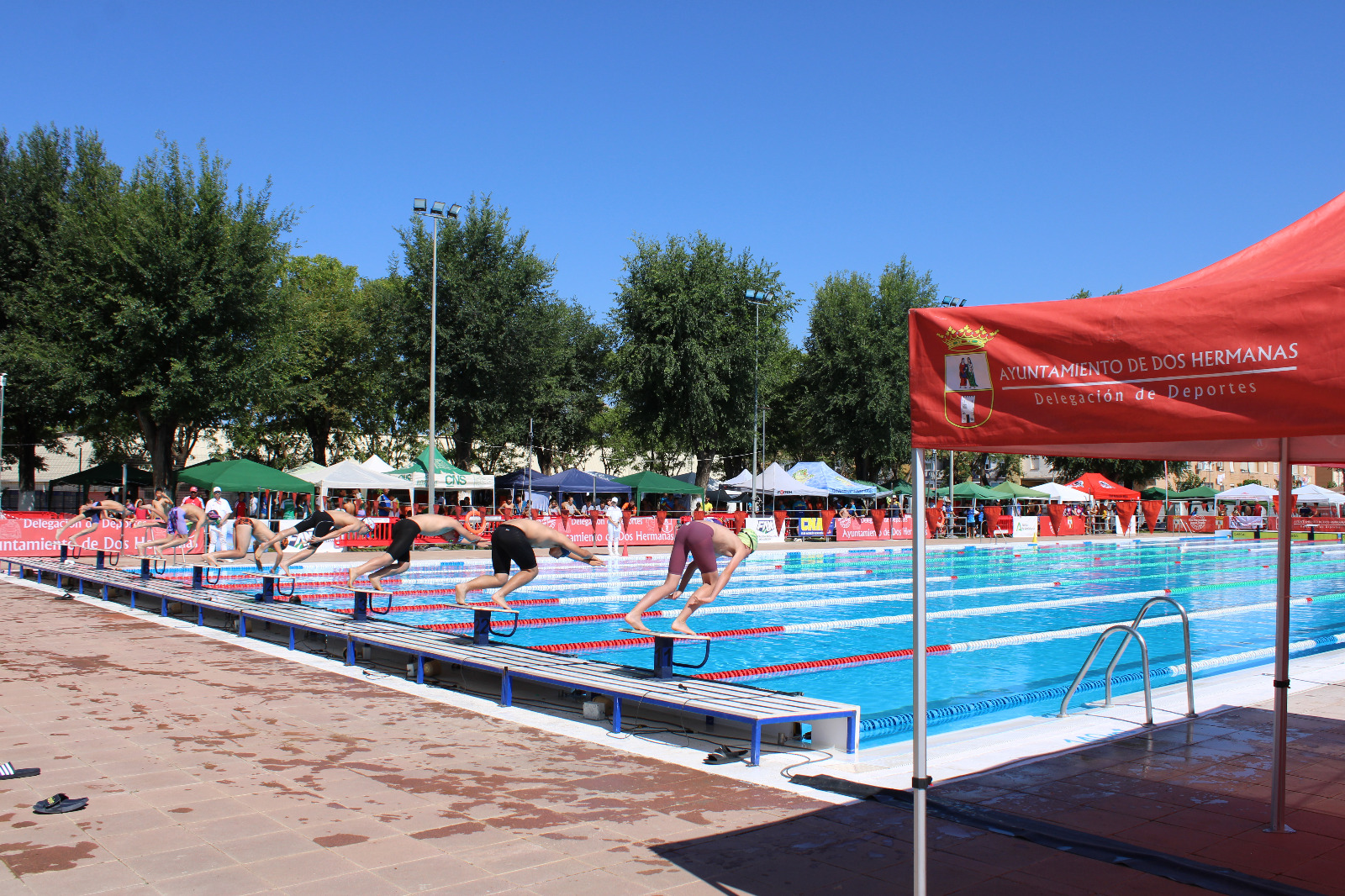Medallas y mínimas para los nadadores alevines en el andaluz