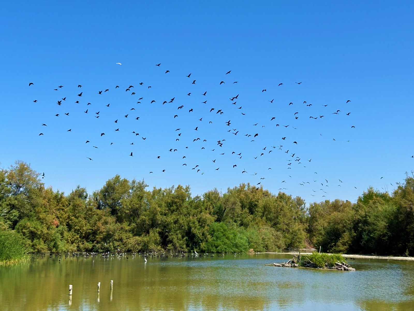 Horario ininterrumpido en la Laguna de Fuente del Rey