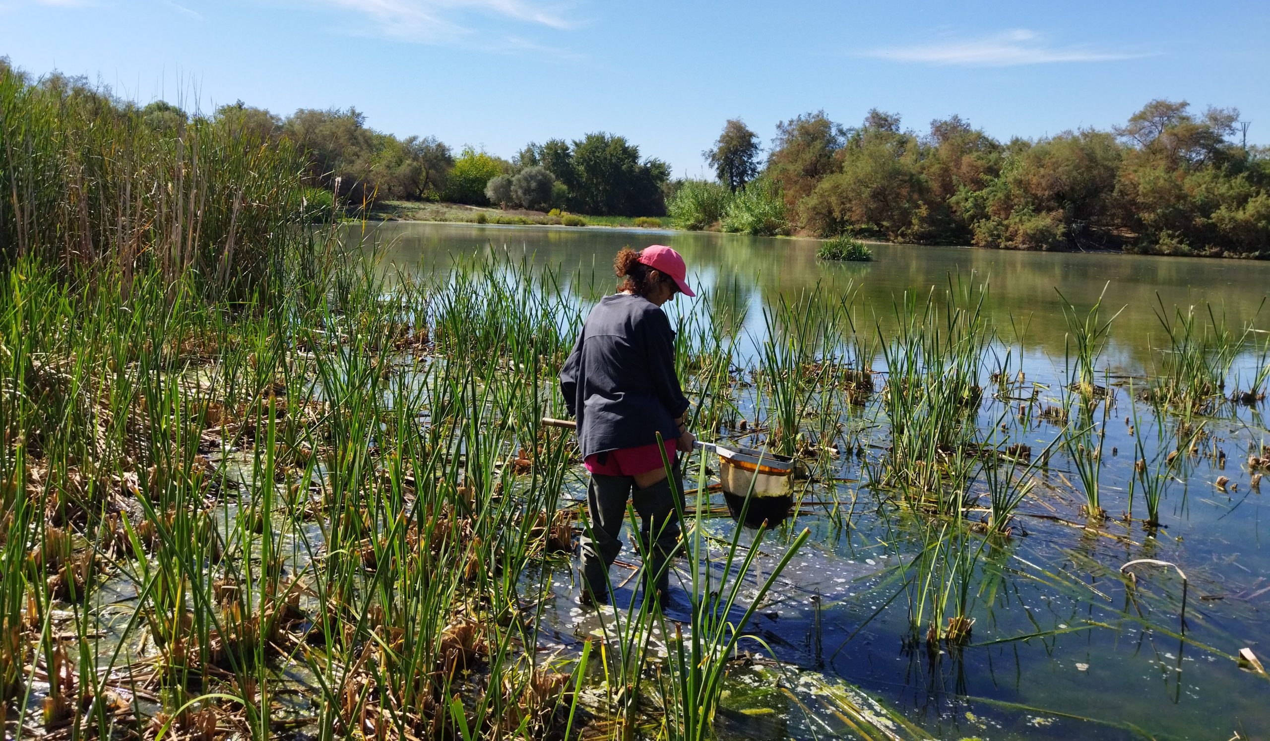 Investigación de la Universidad en la Laguna de Fuente del Rey