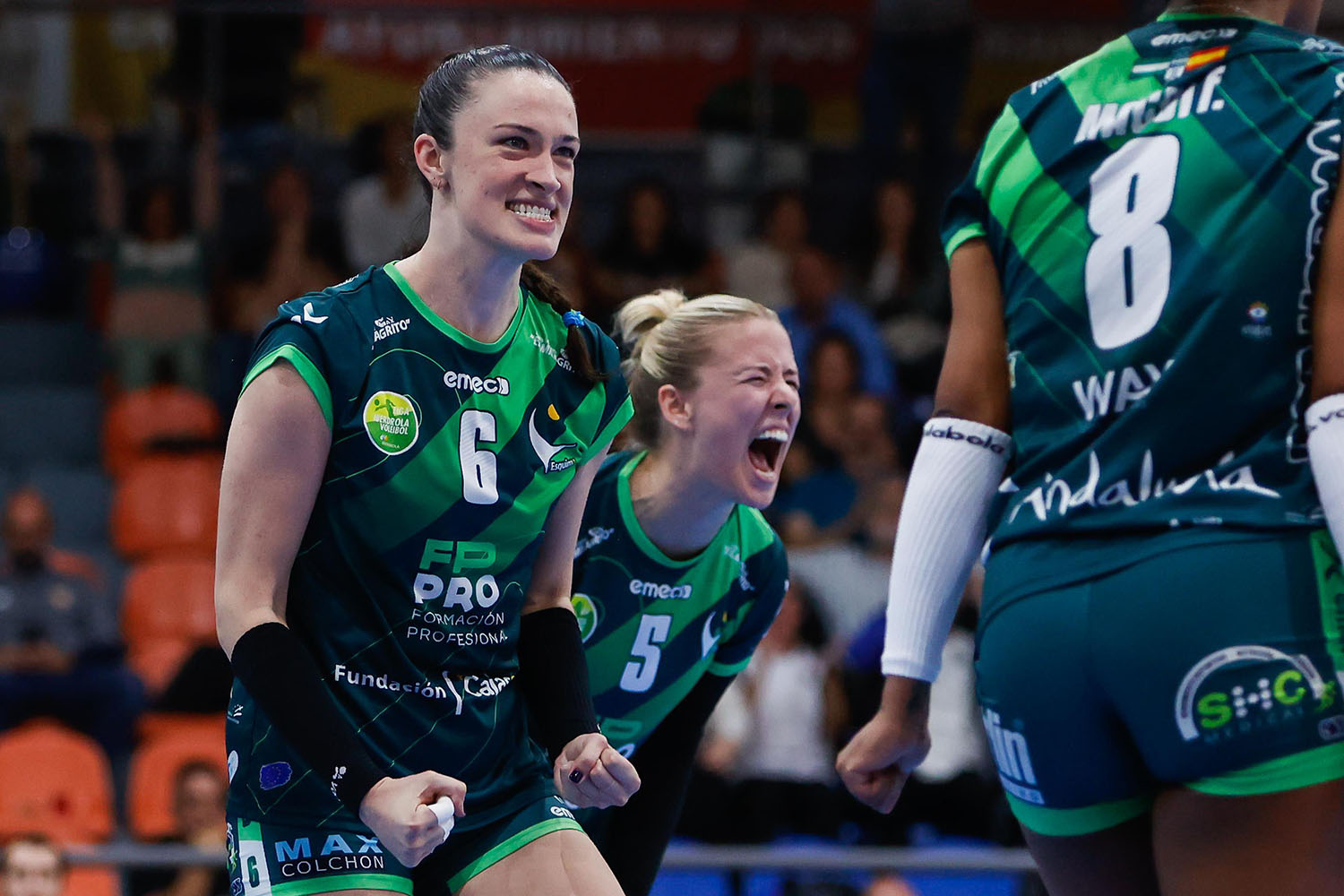 Viaje del FP Pro Voley a Lugo para medirse al Arenal Emevé