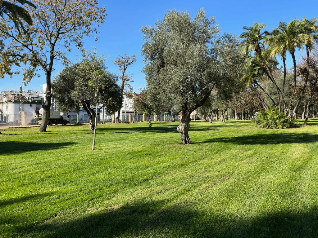 El Parque de La Alquería reabre tras el temporal de viento