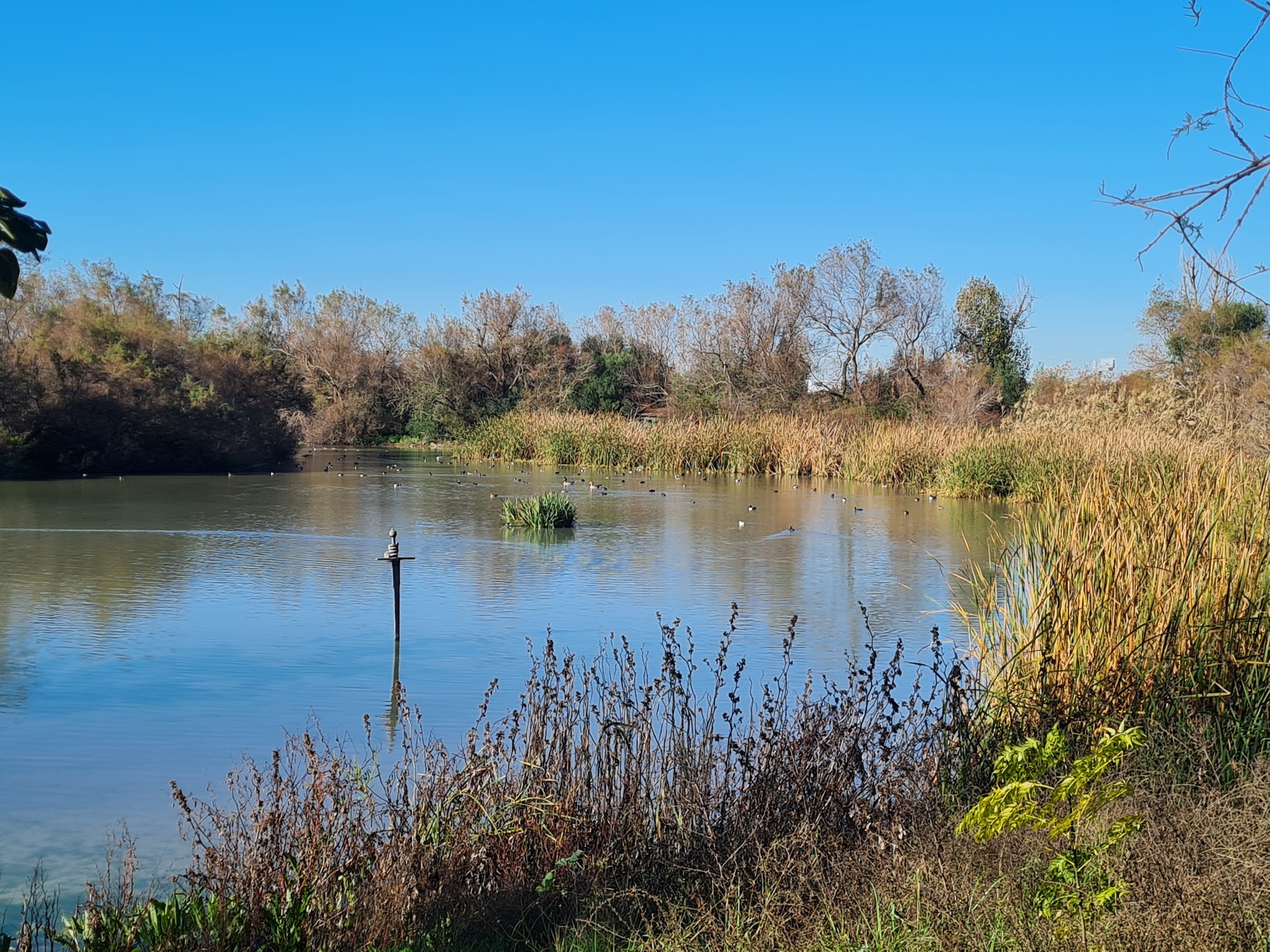 Nuevo dato histórico de visitas a la Laguna de Fuente del Rey