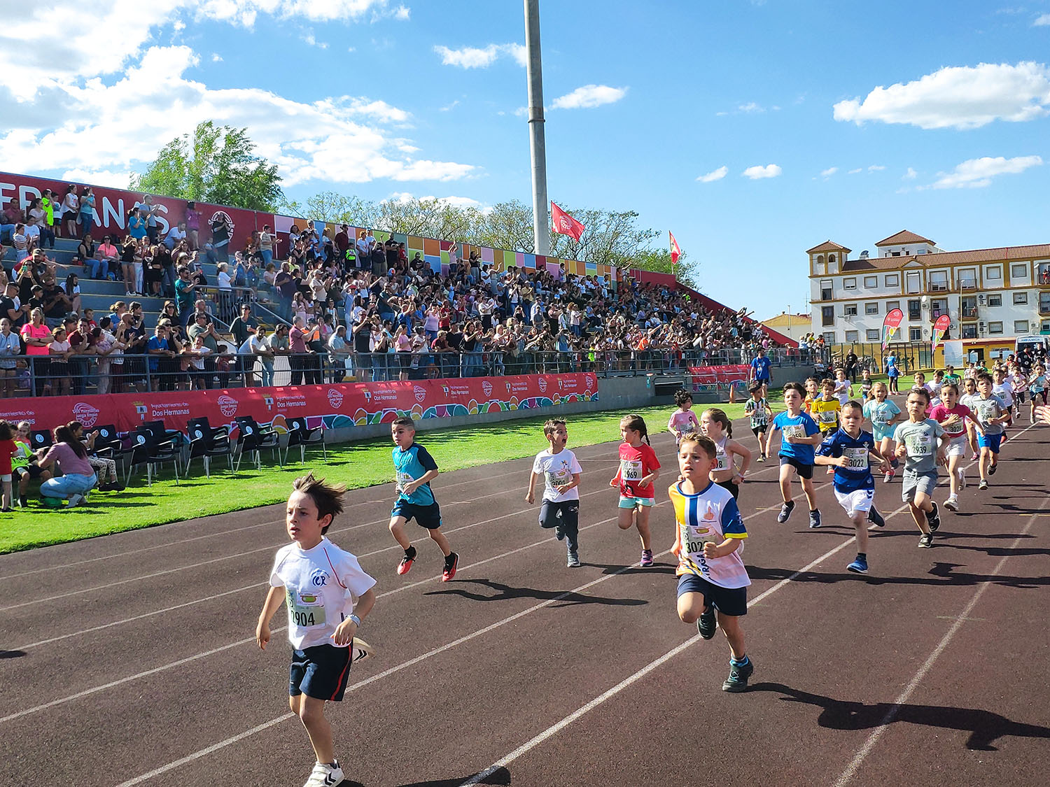 Vibrante celebración de la 43 Carrera Escolar