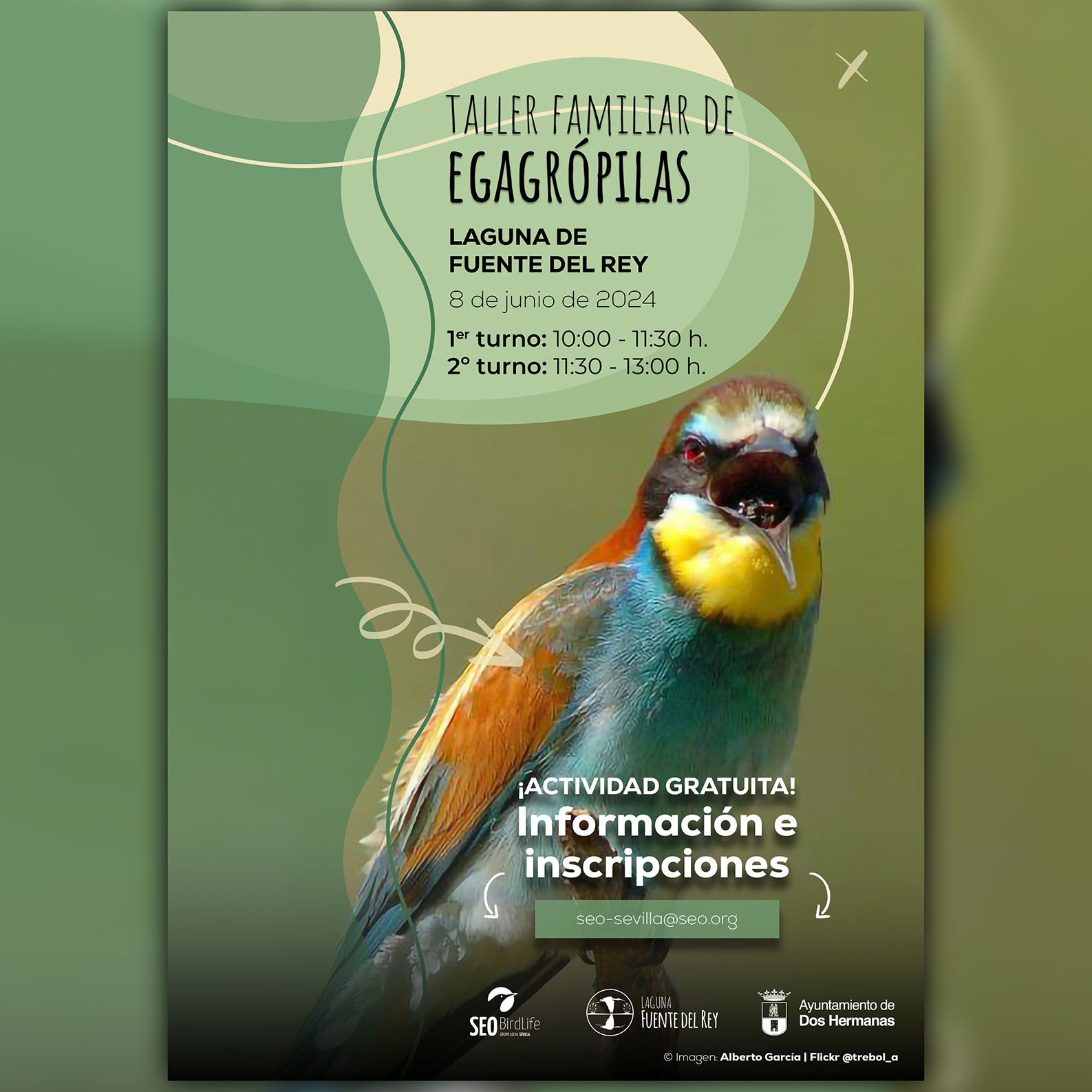 Taller familiar de egagrópilas en la Laguna de Fuente del Rey