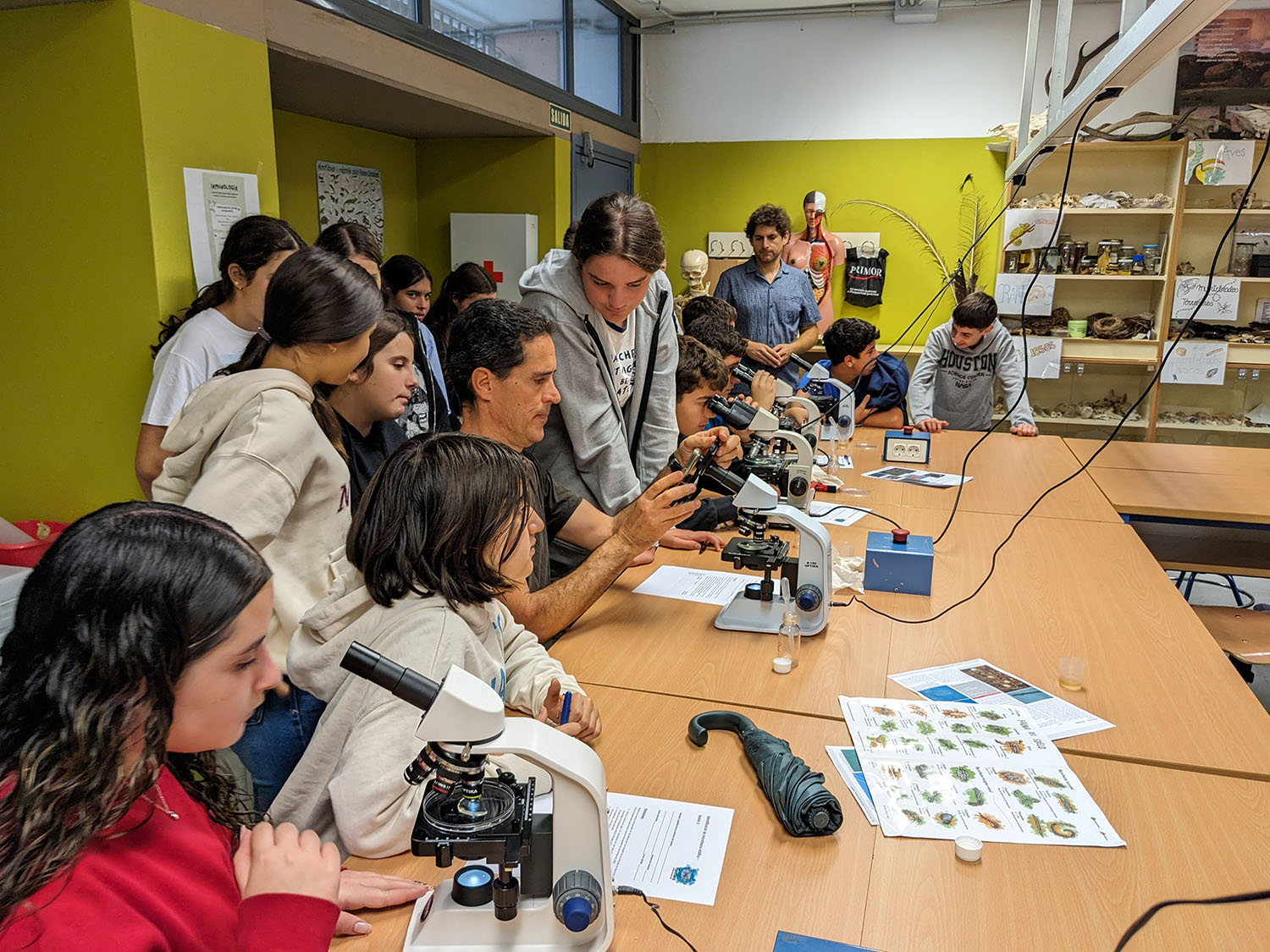 El proyecto de ciencia ciudadana sobre microfauna llega a su fin