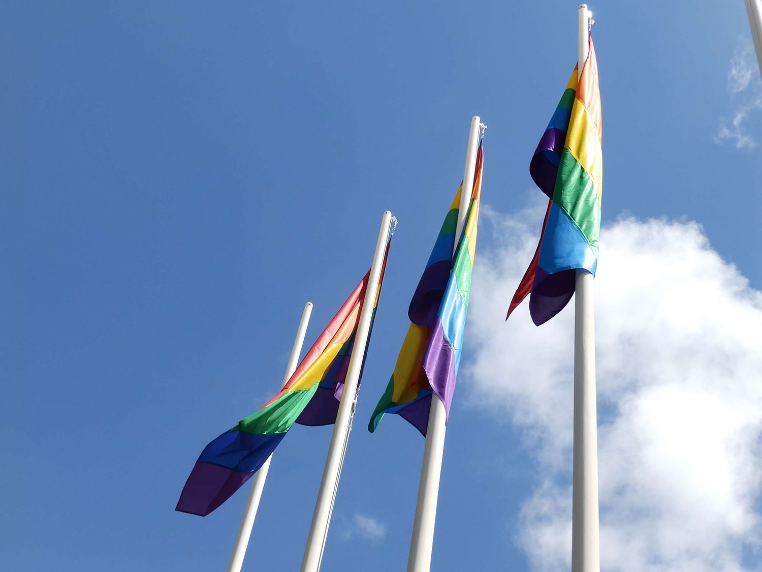 Espacio libre de LGTBIfobia, nueva distinción para el Ayuntamiento