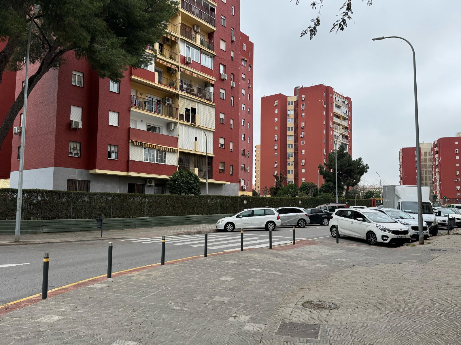 Primera fase de la mejora urbana en la Avenida de los Pinos