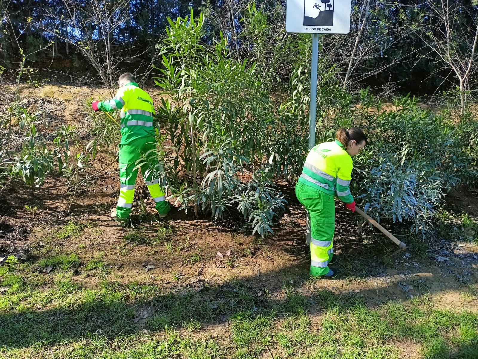 Agrojardinería como salida profesional en el IES Mariana Pineda