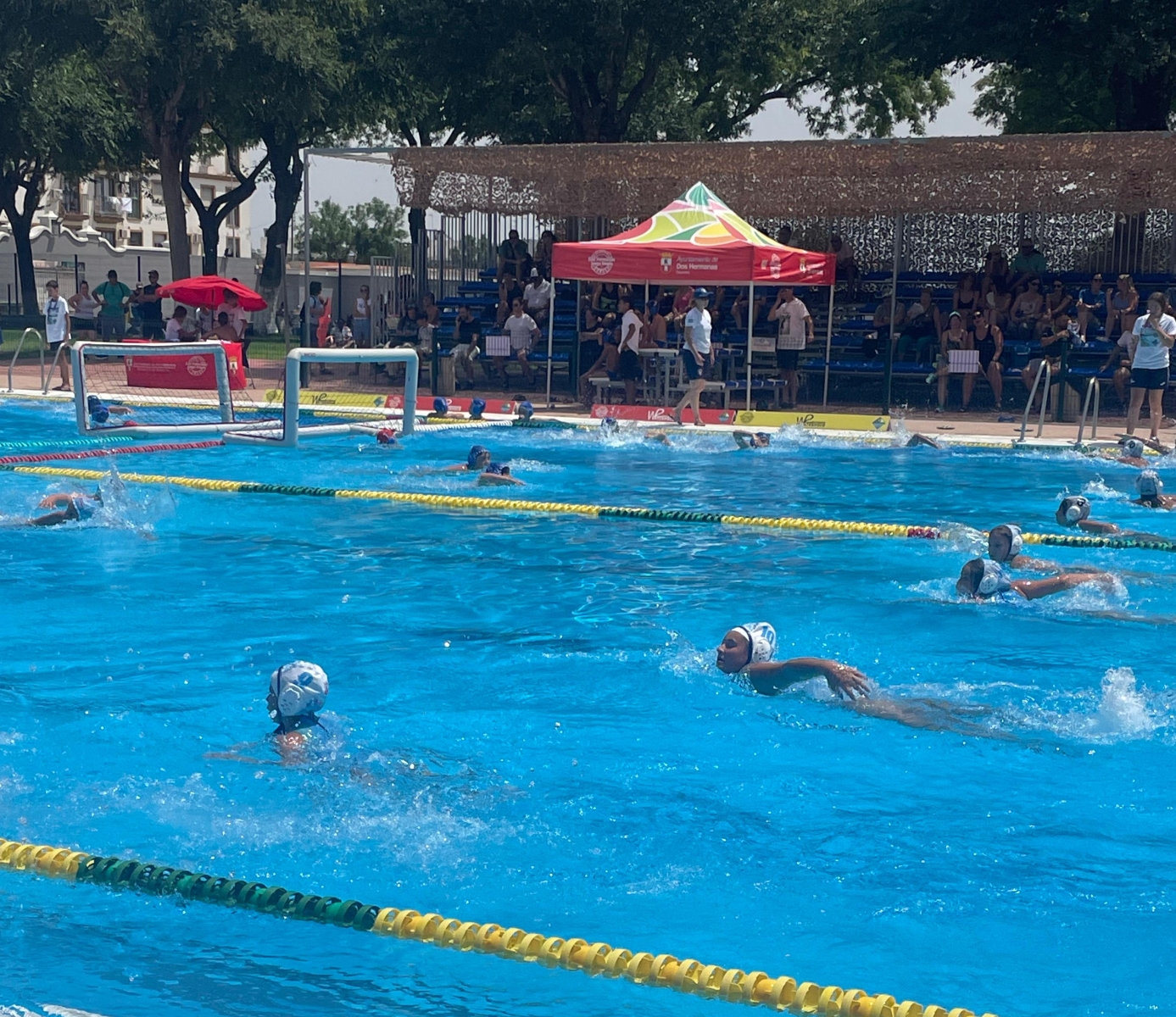 Fiesta del waterpolo base en Los Montecillos