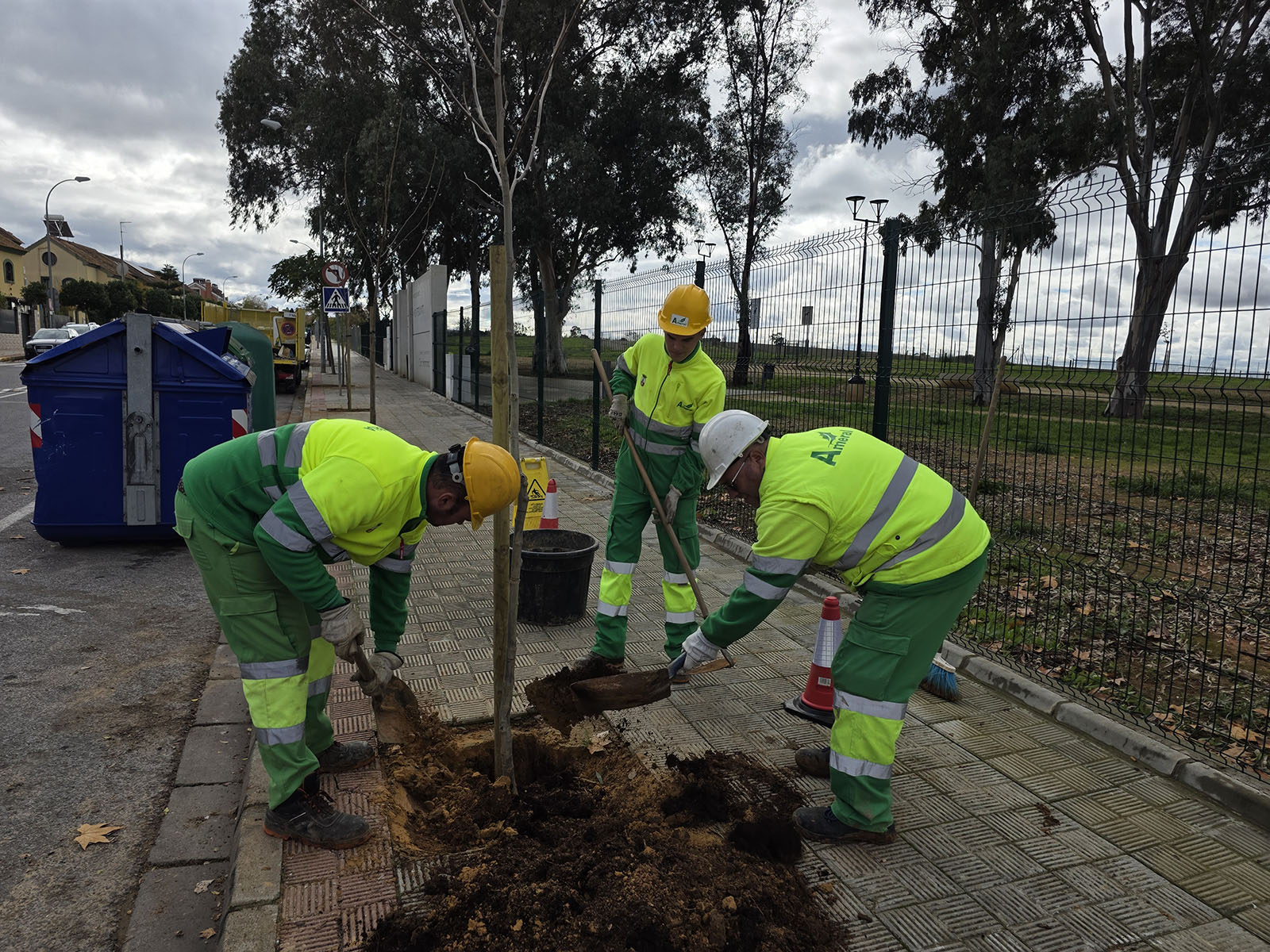 Continúa la campaña anual de plantación por todos los barrios