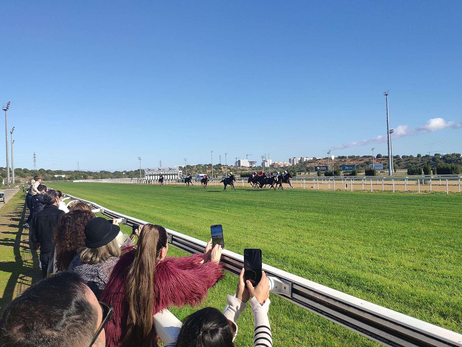 Cuarta jornada de la temporada en el Gran Hipódromo de Andalucía