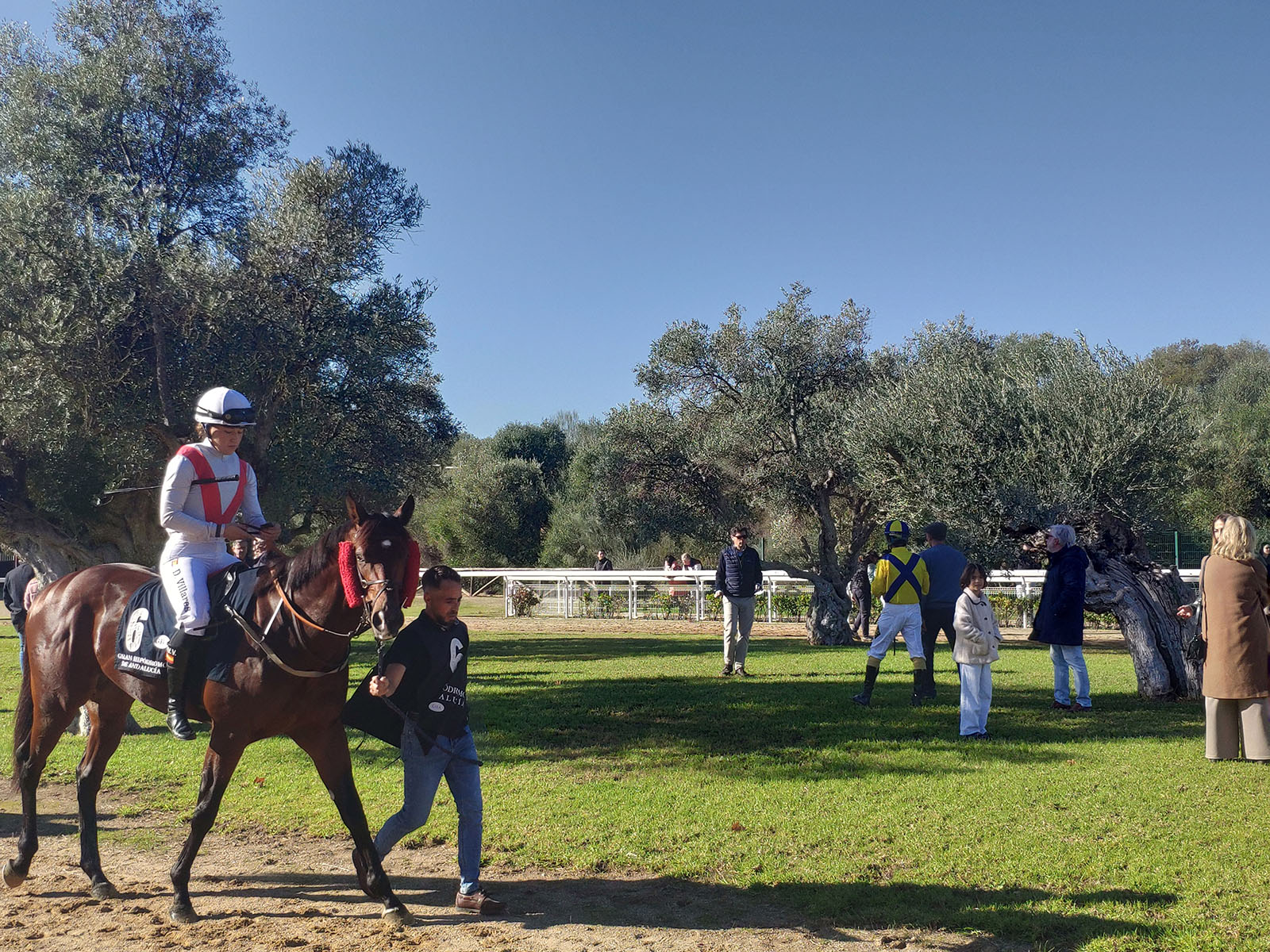 Quinta de la temporada hípica de invierno en el hipódromo