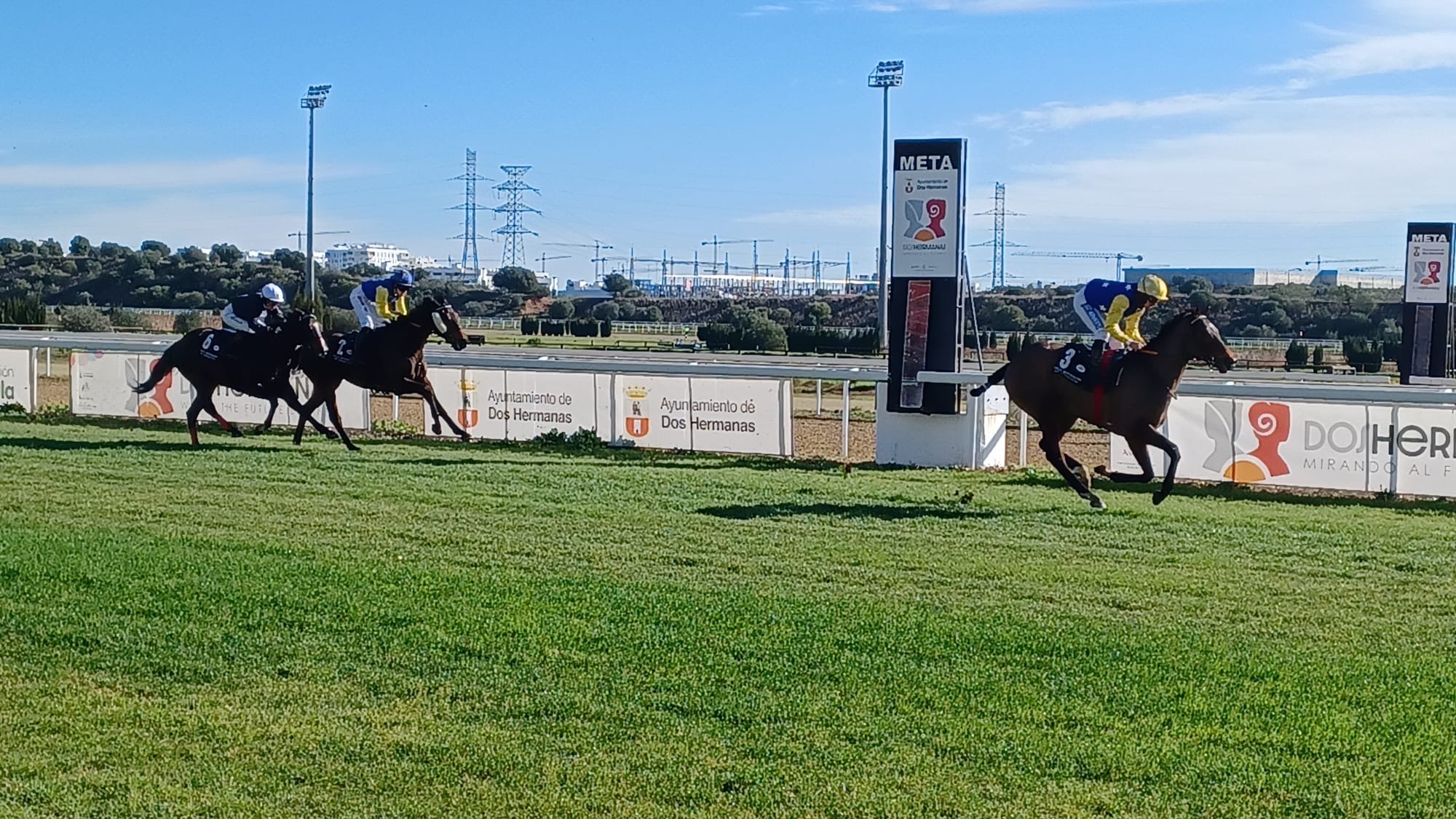 Janacek no pudo conseguir su victoria mil en el hipódromo