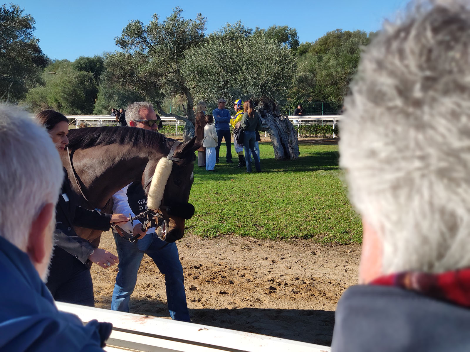 Primera jornada de carreras de caballos del año